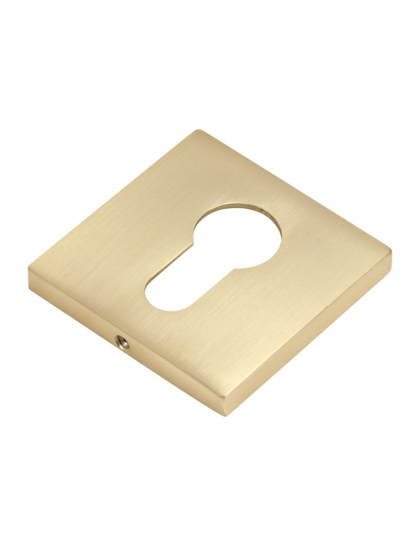 Накладка на цилиндр BUSSARE квадратная, B0-40 W.GOLD, Валлийское золото
