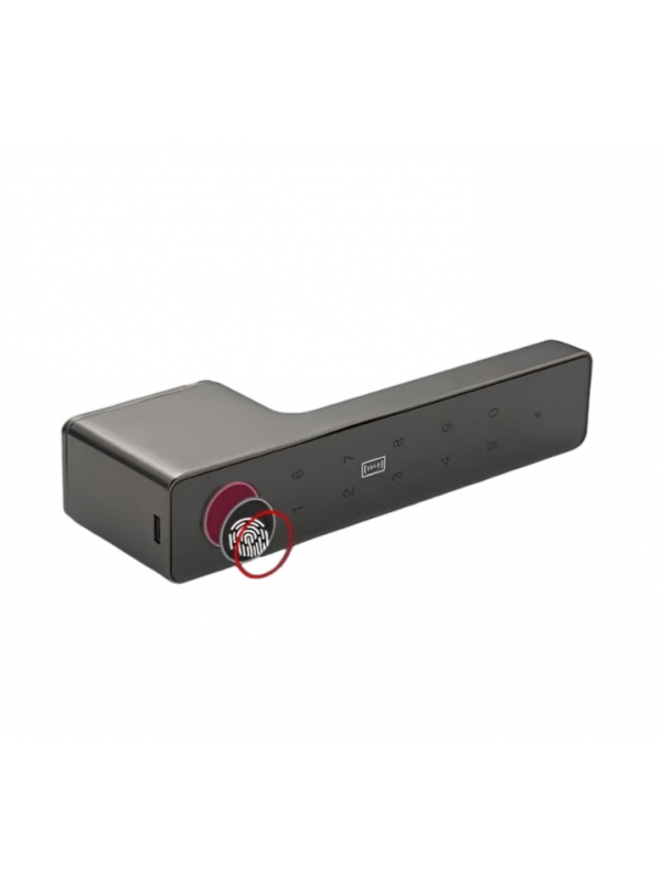Умная дверная ручка-замок Smart 01 Platinum Gray с отпечатком пальца и поддержкой Smart Life (Платиново-серый)